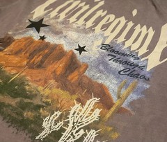 Civil Regime Blooming Through Chaos Desert Graphic Boxy T-Shirt