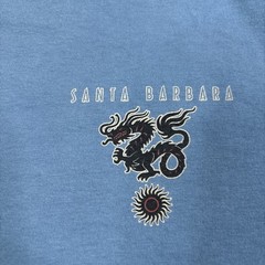 Anvil T Shirt Men’s Large Blue Vintage Red Line Santa Barbara Surf Graphics