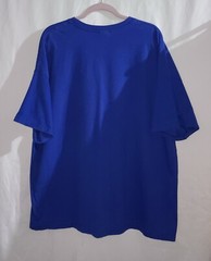 Hanes Blue Coverd Bridge Snow Winter Scene T-shirt Size 3XL