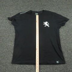 Express Shirt Mens Large Black Lion Logo Graphic Crewneck Tee T-Shirt Casual