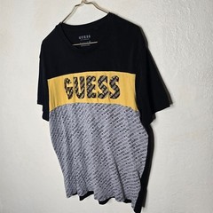 Guess Los Angeles Colorblock Logo T-Shirt