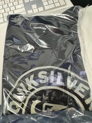 QUIKSILVER DEGRADE CLASSIC GRAPHIC T SHIRT