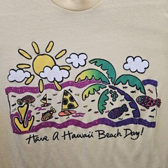 Vintage Hawaiian T Shirt Large (Fits like S/Medium) 70s Have Hawaii Beach Day