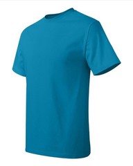 Hanes 5250 4XL 5XL Authentic Short Sleeve Men’s Cotton T-Shirt Teal