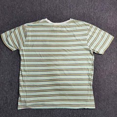 Lost Enterprises T Shirt Men Sz Small Teal Gray Striped Short Sleeve Surf Skate