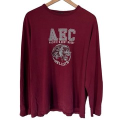 American Eagle Mens Long Sleeve Graphic T-Shirt Maroon Hellcats Rugby Large
