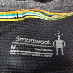 Smartwool Active Ultralite T Shirt Mens M Gray Black Merino Wool Performance
