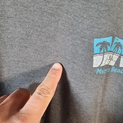 Vintage Myrtle Beach South Carolina USA 90s Single Stitch T-Shirt Men Large Grey