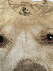 The mountain golden retriever Dog T-Shirt, New Size 3X