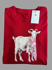 Nike Air Jordan GOAT Jumpman 23 Bulls Graphic T-Shirt Red Men’s Sz M New