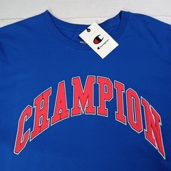 Champion Men’s Classic Jersey T-Shirt Surf the Web Size 2XL XXL Blue