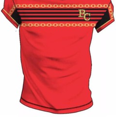 Men’s Bucheli T Shirt,Italian Style,Cotton,Slim Fit,Stretch L…..A13.A