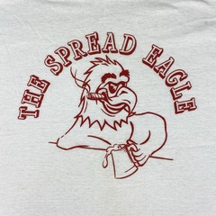 Vtg Spread Eagle Shirt Mens M 80s 90s Gay Bar Pride Paper Thin Single Stitch Tee