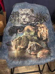 Men’s Size Large Graphic & Loungewear Bundle Venom Marvel The Mountain Big Cats