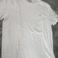 Hollister Must-Have Collection T-shirt Mens Medium White Short Sleeve Cotton Tee