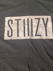 Stiiizy T-Shirt Men’s Black White Box Logo Graphic Tee Streetwear
