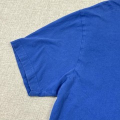 Pendleton Shirt Mens Medium Blue Graphic Tagless Made In Nicaragua Woolen Mills