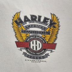 Harley Davidson Cozumel Mexico White T Shirt 48″ Chest XL See Description