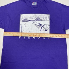 Vintage Vermont Shirt Mens XL Purple Don Doubleday Winter Scene 1993 Hanes USA