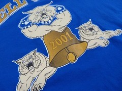 Vintage 2001 Men’s Bell Game Shirt XL Centennial Bull Dogs Central Wildcats Y2K