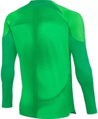 NWT Nike Men’s Large Slim Fit Dri-FIT ADV Gardien Goalkeeper Jersey $82