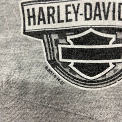 Harley Davidson Shirt Men’s Large Gray Bikercore Myrtle Beach Outdoor Biker VTG