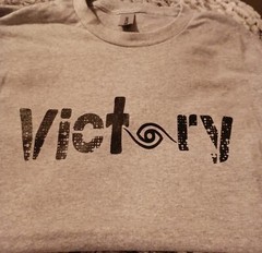 GILDEN Tshirts – ALL COLORS AND SIZES- S, M, L, XL , 2X AND UP BY REQUEST