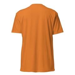 Unisex Fitted T-Shirt – Next Level 6210