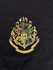 Harry Potter Loot Crate Exclusive Triwizard Gryffindor T Shirt XL New