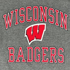 Wisconsin Badgers Long Sleeve T-Shirt NCAA Football Tee Heather Gray Mens Size M