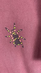 Vintage Wild Side A Walk Shirt Mens Large Maroon Spider Iguana Graphic 90s