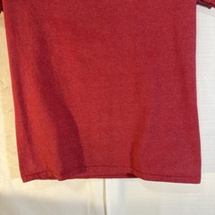 Riot Society Holiday Bear crewneck t-shirt Men’s Small Red 100% Cotton