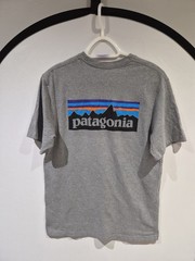 MENS PATAGONIA RESPONSIBILI-TEE SIZE MEDIUM