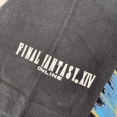 FINAL FANTASY XIV 14 FFXIV Mens Size S T Shirt Hydaelyn Kick Square Enix