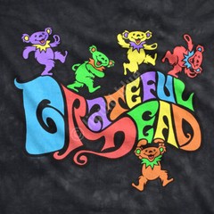 GRATEFUL DEAD-FLIPSIDE BEARS-Tie Dye T-SHIRT M, L, XL,XXL-Garcia,Lesh.Wier,Hart
