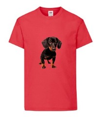 Dachshund Dog Pet Friend Family Novelty T Shirt Various Colours And Sizes