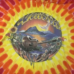 1990s Woodstock T Shirt 3XL Tie Dye 1999 Music Festival Hippie Tour Band