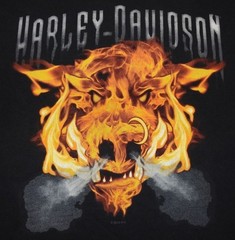 2013 Harley-Davidson Motorcycles Flame Hog Destination Tacoma WA T-Shirt Large