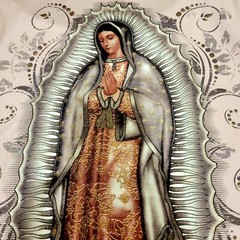 VIRGEN DE GUADALUPE T-SHIRT-size XL Pink. Glitter graphic print chest size 48