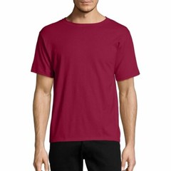 Hanes Men’s and Big Men’s Ecosmart Short Sleeve Tee Shirt