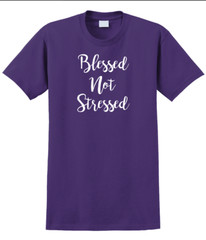 Blessed Not Stressed T-Shirt Short Sleeve Graphic Glitter Tee Unisex Apparel