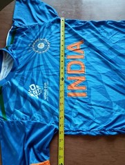 India Men’s T20 World Cup 2024 Unbranded Cricket Shirt Size Large