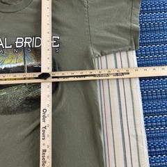 VTG Arkansas Natural Bridge Shirt Mens Medium Green Bayside Nature Outdoors 8545