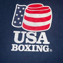 Official Team Apparel USA Boxing T Shirt Sz L Blue Olympic Committee Training