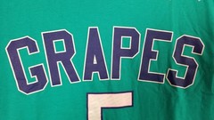 JORDAN V RETRO 5 GRAPES OUTFIT SHIRT + SHORTS SET EMERALD PURPLE RARE (MEDIUM)