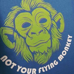 Personalized Custom T-Shirt Customized w/Photo, Text, Logo on Gildan Shirts*
