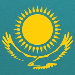 Kazakhstan European Flag Basic Cotton T-Shirt – Antique Jade Dome