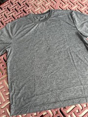 Everlast Greatness Within EverDri Workout T-shirt Grey Tee Large New w/o Tags