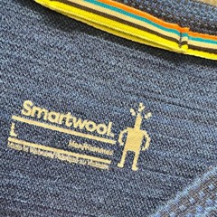 Smartwool Shirt Mens Large Merino Wool Crew Neck Blue Striped Base Layer