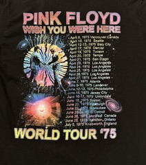Gorgeous Authentic Pre-owned Men’s Pink Floyd Wish You Were Here ‘75 Tour Shirt